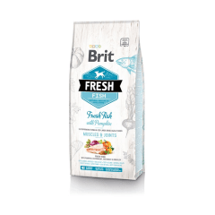 Brit fresh fish with pumpkin adult large