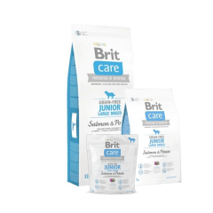 Brit care GF junior large breed salmon & potato