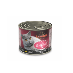 Leonardo Seleccion ave