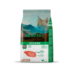 Bravery Kitten