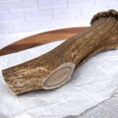 Asta de ciervo De pelitos