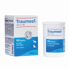Traumeel 100 comprimidos