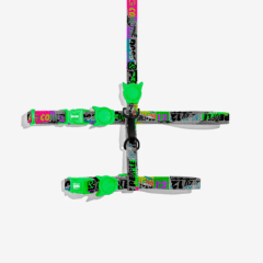 Lozt Manifesto set arnes gato