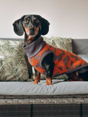 Chaleco Cobre tejido Kodkod gris