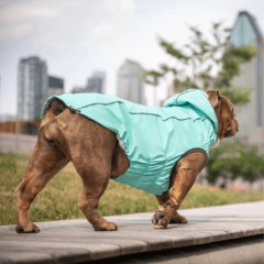 GFpet impermeable reversible Neon aqua