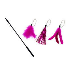 Varita plumas y cintas brillantes
