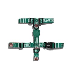 Hawkins Stranger Arnes perro