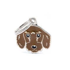 Placa My Family Dachshund