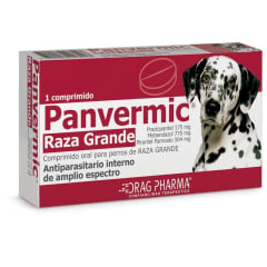 Panvermic raza grande