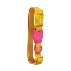 Neopro Lyra collar