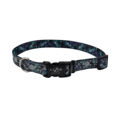 Coastal Lazer Brite collar Galaxy