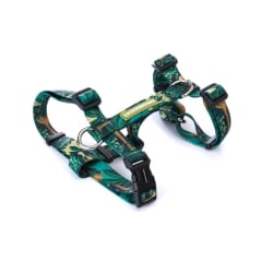 Cachorreiros Arnes H Samauma