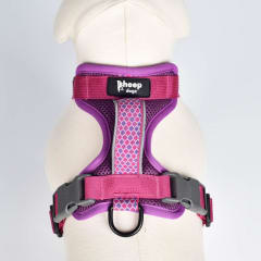 Arnés trinar andino Picaflor