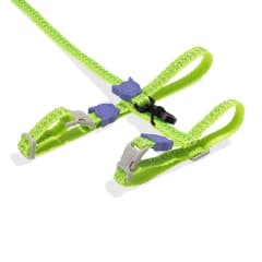 Nox Lumen Harness Set gato