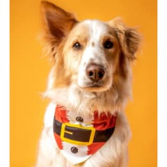 Bandana By Simona Santa