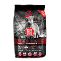 Alpha Spirit Puppies