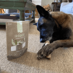 Winga traquea 2 unidades