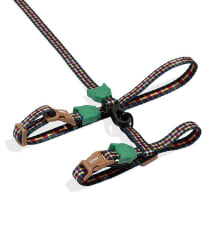 ZeeCat Arnes set Travis