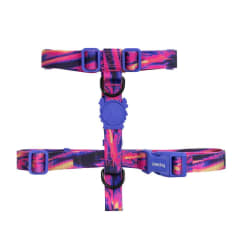 ZeeDog Arnes Glitch Error #500