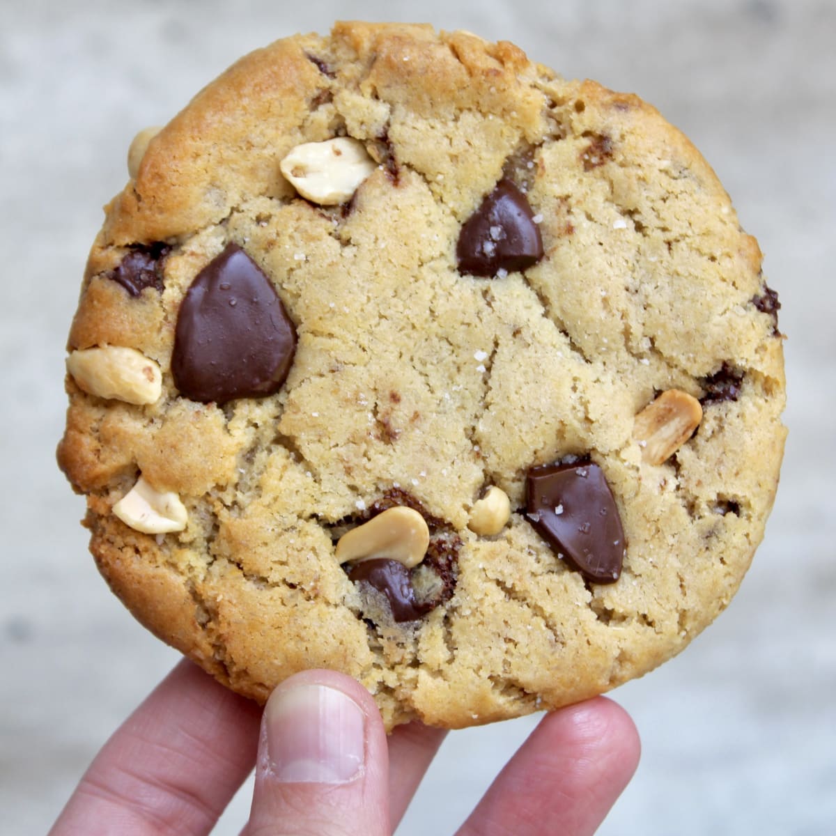 Galletón de maní y chocolate VEGANO1