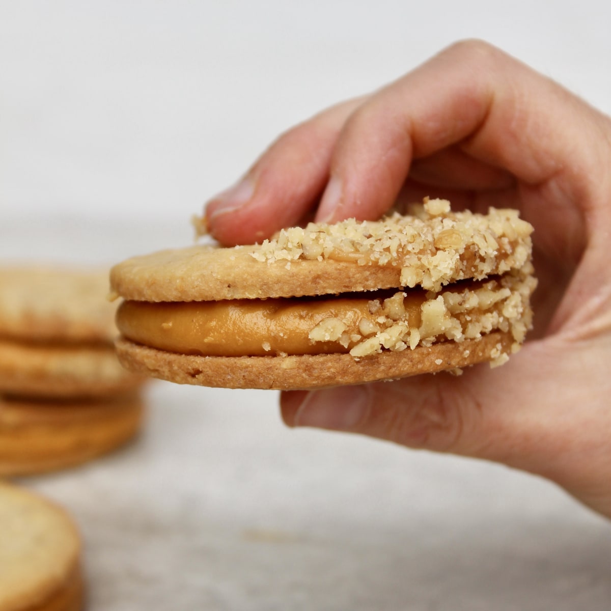 Alfajor de nuez grande relleno de manjar lúcuma1