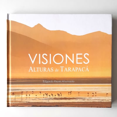 Visiones - Edgardo Reyes Ahumada1