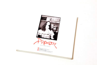 Provoste 3