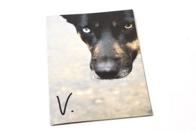 V - Juan Valbuena