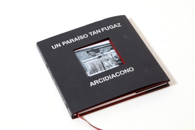 Un Paraíso tan Fugaz - Cayetano Arcidiacono 3