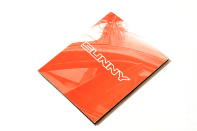 Sunny - Javier Aravena