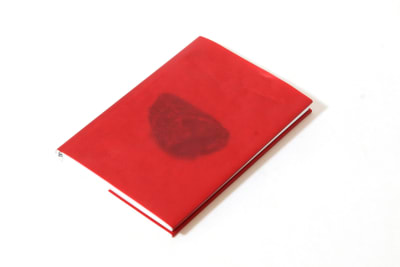 La primera piedra - Musuk Nolte4