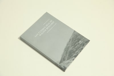 Los últimos días de Walter Benjamin - Patricio Salinas