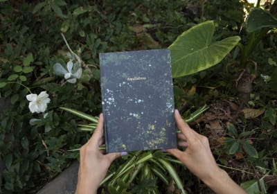 Amalia Irma - Aurora Rojas