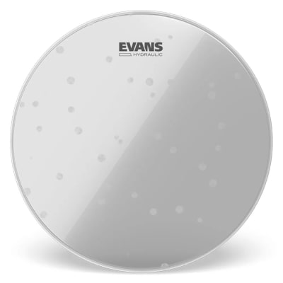 PARCHE EVANS 12