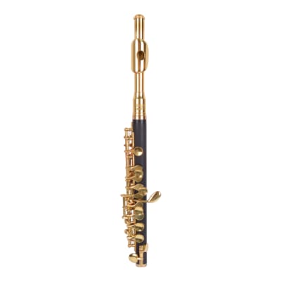 PICCOLO ETINGER NOTA C GOLD PCC-1151
