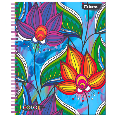 Cuad Univ Torre Clasico Color 100h 7mm 282491