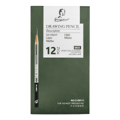 Lapiz Grafito Giorgione Tecnicos 12u G-08912