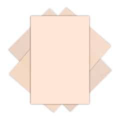 G eva Hand 20x30cm piel 10U H03