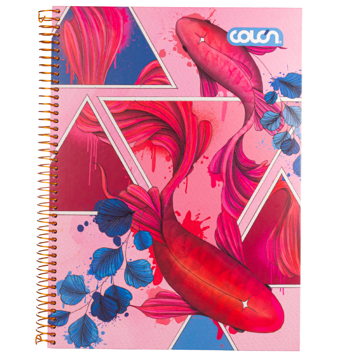 Cuad top colon Natura 150h 7mm 27260 3