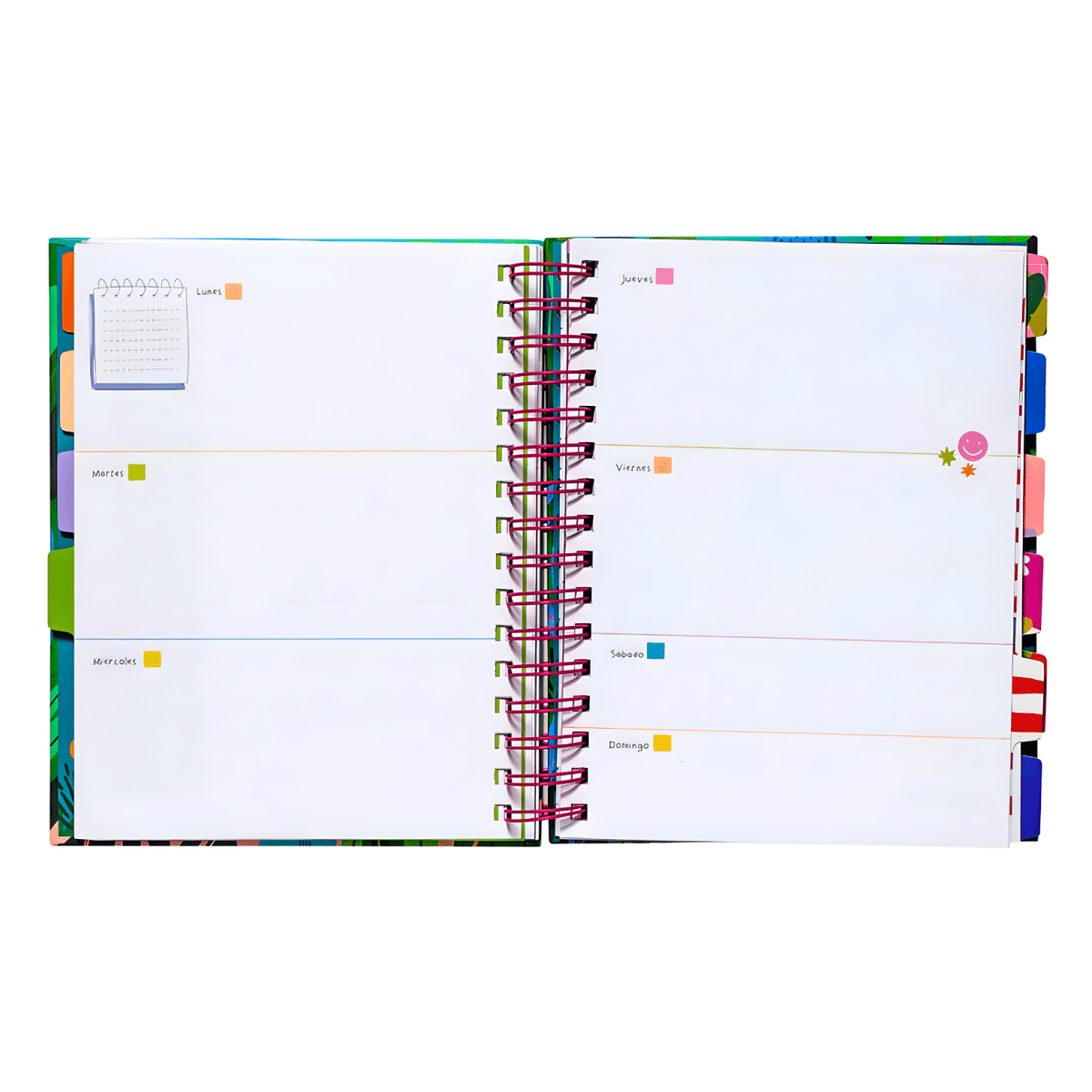Planner Artel 26 12M A5+ 80g Elas. Dani Blanq 201222412