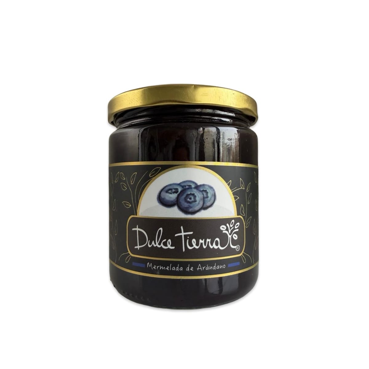 MERMELADA DE ARANDANO DULCE TIERRA 550 G1