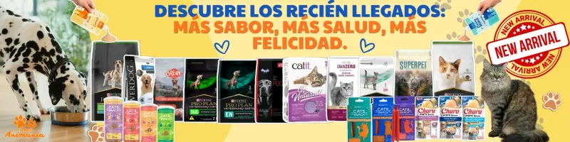 Descubre los nuevos sabores que transformarán su hora de comer.