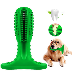 WARRIOR TOYS CEPILLO DENTAL 360º L