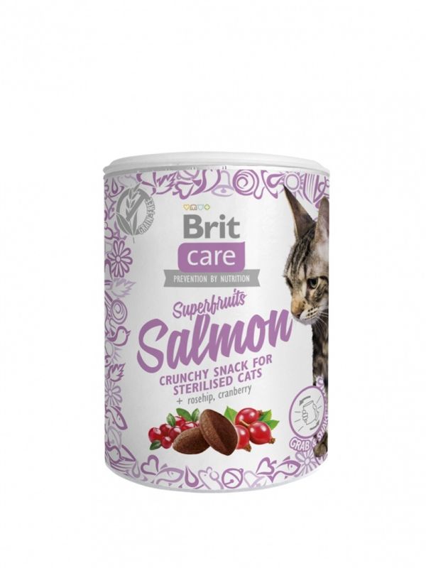 BRIT CARE CAT SNACK SUPERFRUITS SALMON 100GR