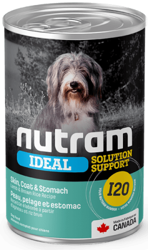 I20 IDEAL SKIN COAT CANNED 369 G