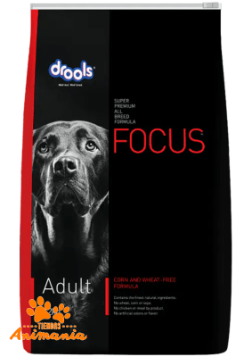 FOCUS ADULTO 4 KG