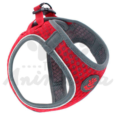 DOCO ARNES PERRO ATHLETICA COLOR ROJO TALLA S1