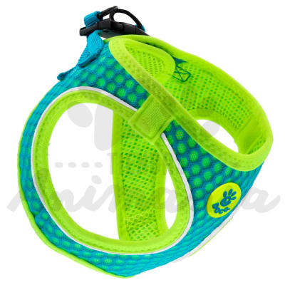 DOCO ARNES PERRO ATHLETICA COLOR TURQUESA/VERDE TALLA M1