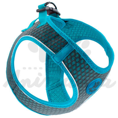 DOCO ARNES PERRO ATHLETICA COLOR GRIS/TURQUESA TALLA XS