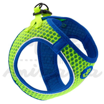 DOCO ARNES PERRO ATHLETICA COLOR LIME TALLA XS1